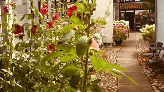 Boligudlejningsejendomme til salg i Køge - billede 5