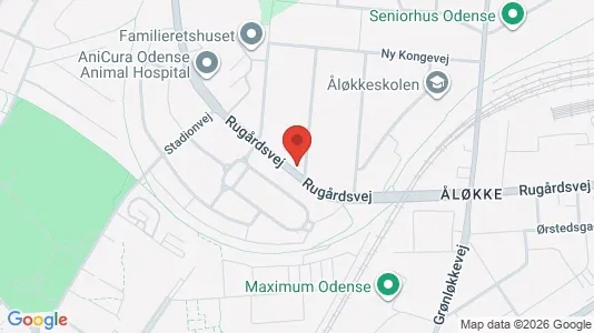 Boligudlejningsejendomme til salg i Odense C - kort over placeringen