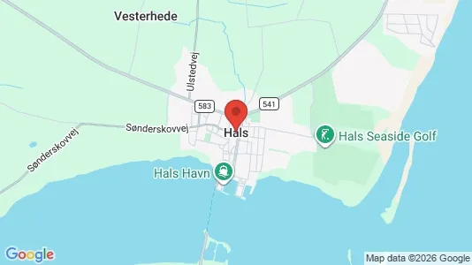 Hoteller til salg i Hals - kort over placeringen